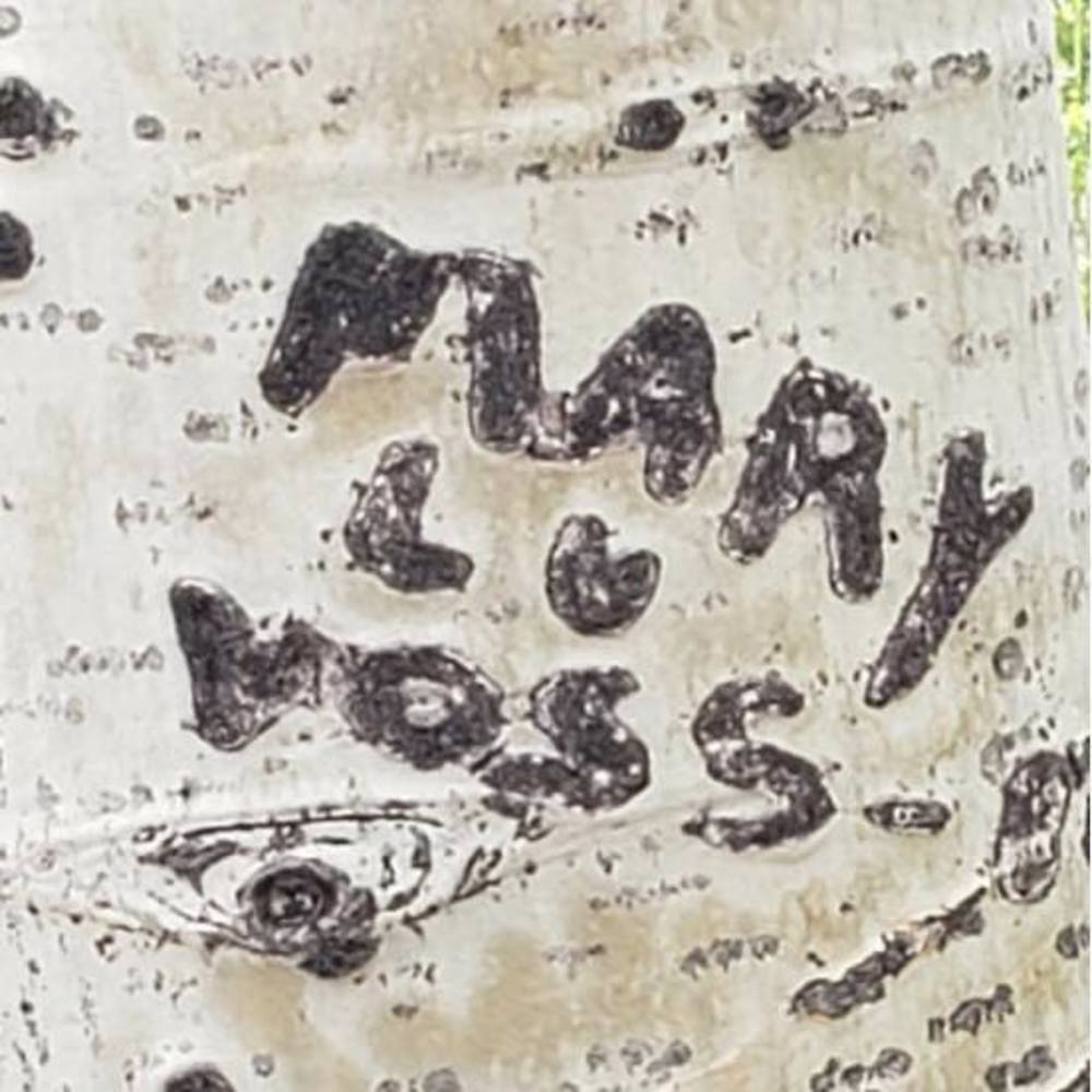 Meet your Posher, Mary